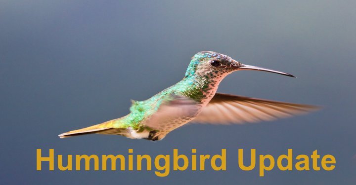 Do You Know Hummingbird Update