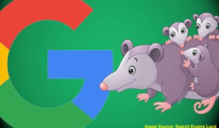 Possum Update : Know The Facts